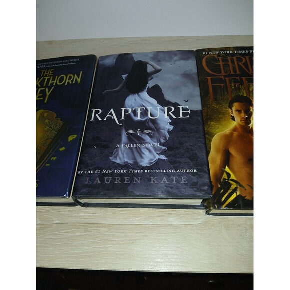 Lot of 4 Hardcover Books Dark Peril, Rapture, Blackthorn Key & Cinderella Murder - Picture 10 of 15